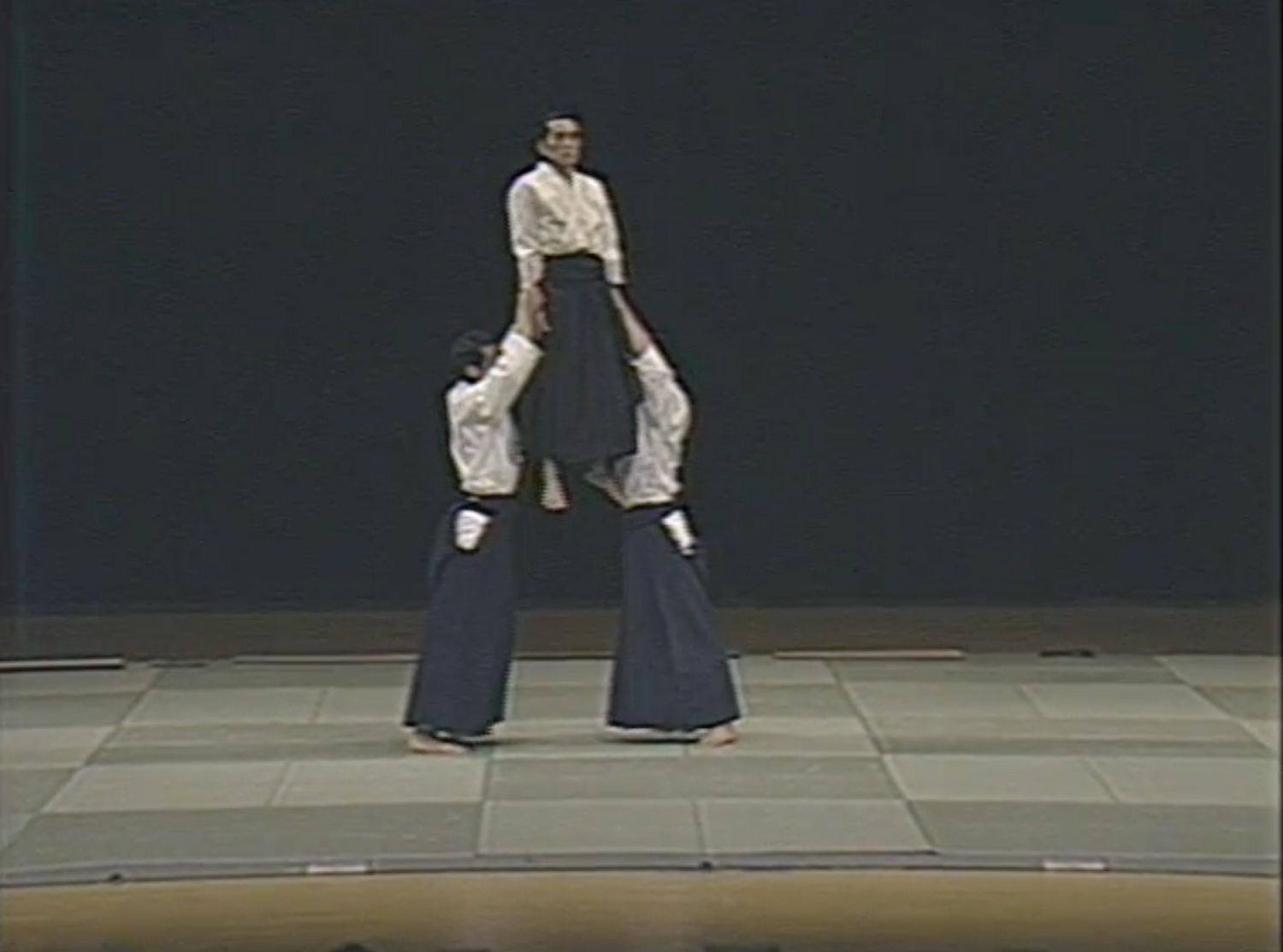 1st Aikido Friendship Demo DVD 1 (Preowned) - Budovideos