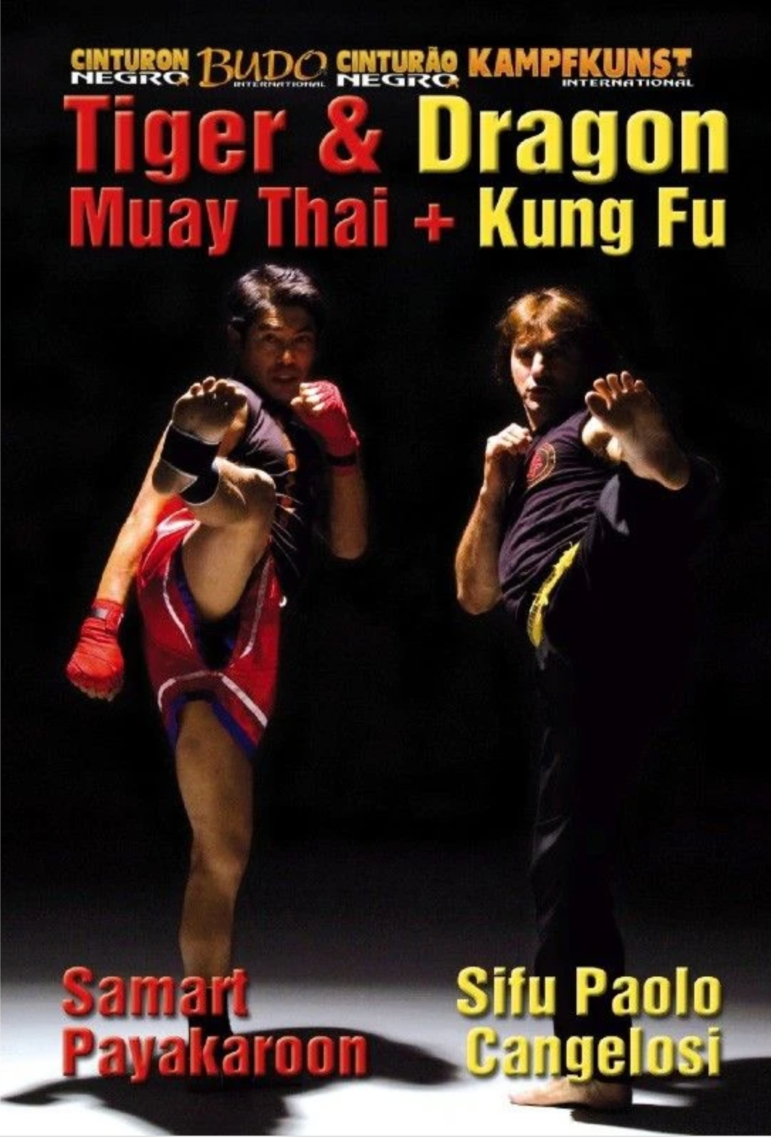 Kung Fu & Muay Thai Dragon & Tiger DVD by Paolo Cangelosi - Budovideos Inc