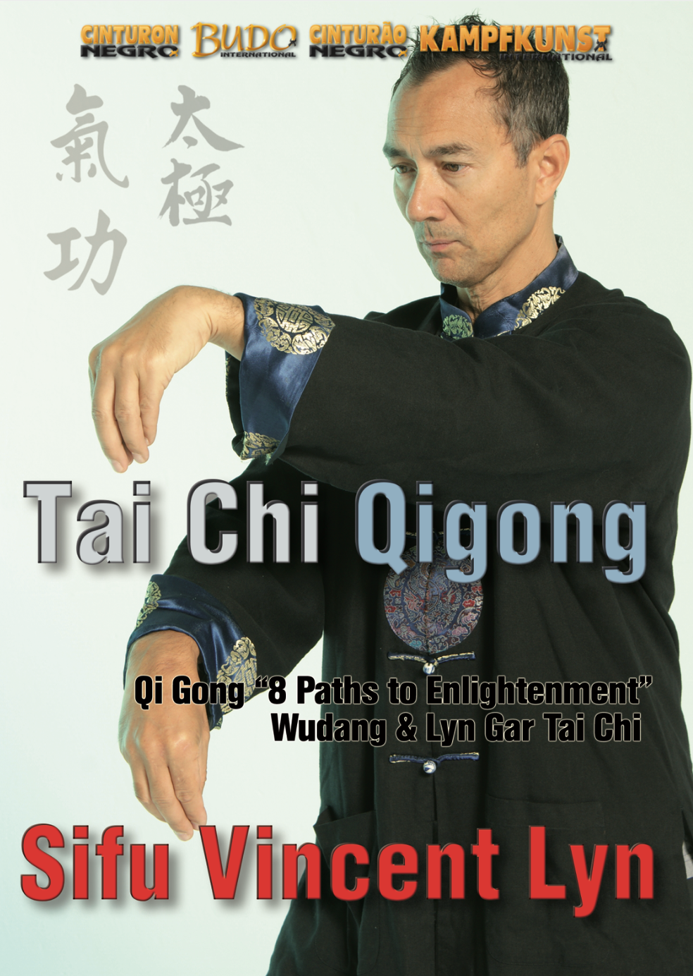 Tai Chi & Chi Gong Forms DVD by Vincent Lyn - Budovideos
