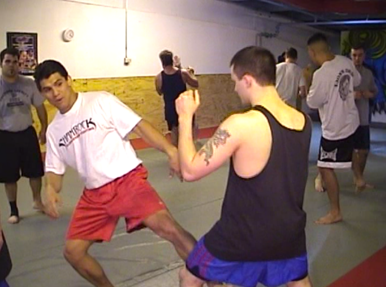 Frank Sharmrock MMA Seminar 2002 DVD (Preowned) - Budovideos