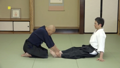 How to Develop Aiki in Daito Ryu DVD by Hiromichi Matsumura - Budovideos Inc