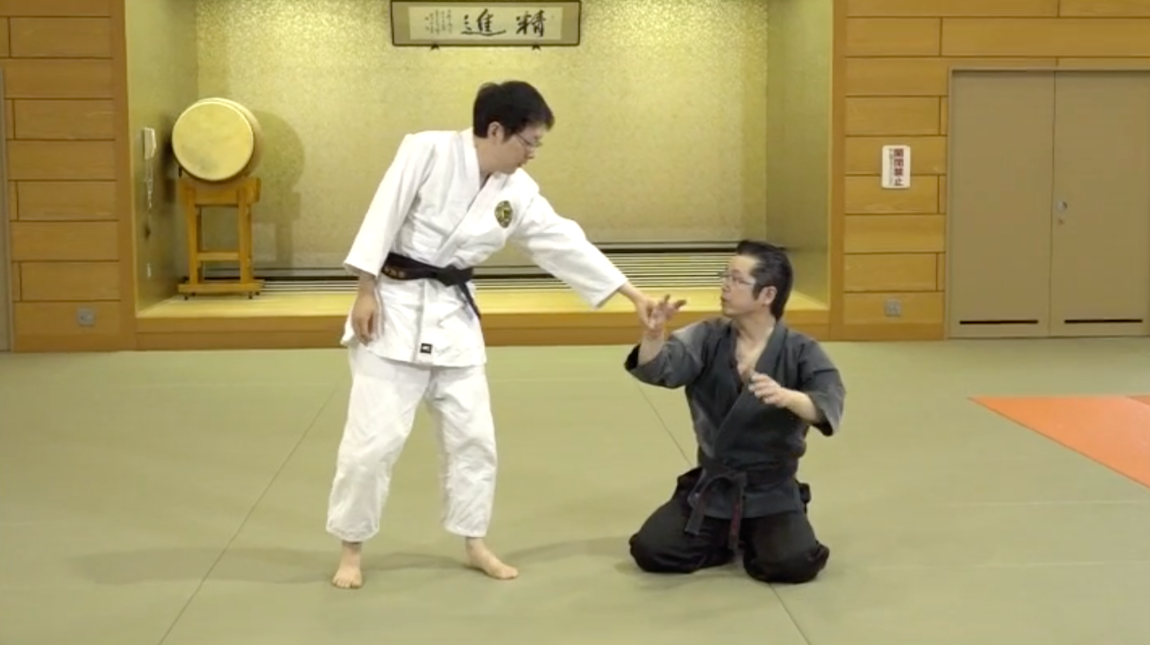 Daito Ryu Aikijujutsu Renshinkan Standing Techniques DVD 2 by Michio T ...
