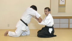 Daito Ryu Aikijujutsu: How to Practice Aiki Age Vol 2 DVD by Shoji Arimitsu - Budovideos Inc