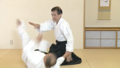 Daito Ryu Aikijujutsu: How to Practice Aiki Age Vol 2 DVD by Shoji Arimitsu - Budovideos Inc
