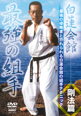 Hakuren Kaikan Best of Kumite DVD - Budovideos Inc