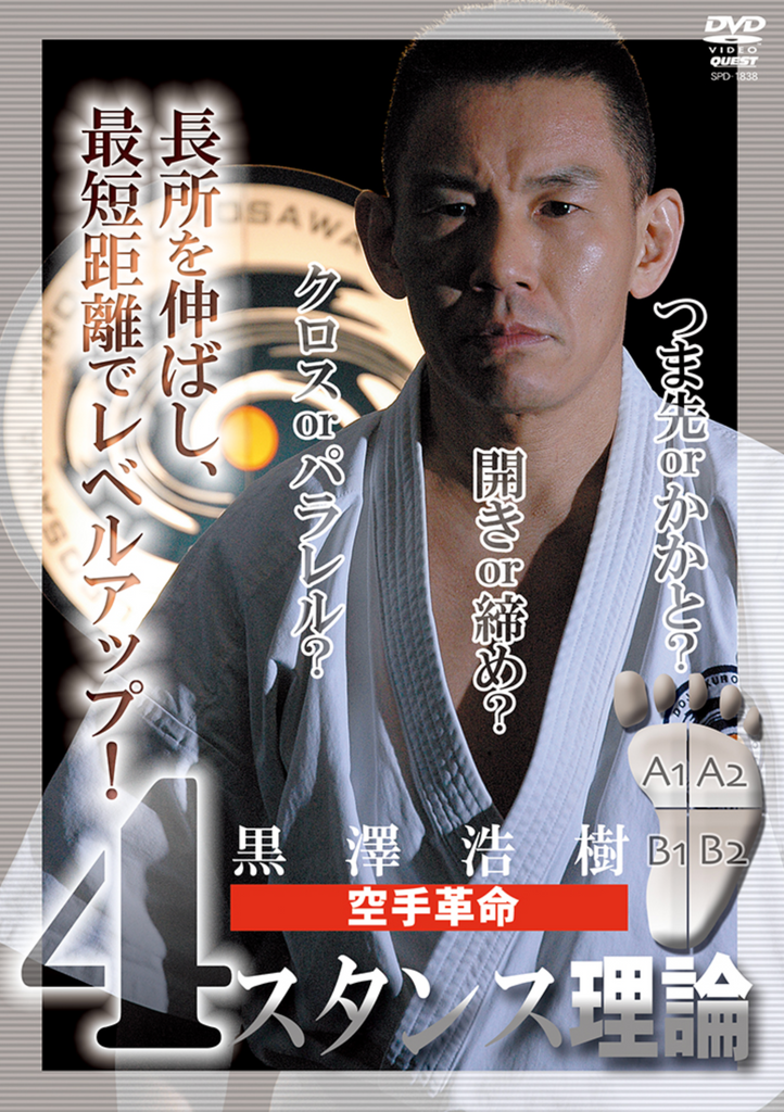 The 4 Stances of Karate DVD by Hiroki Kurosawa