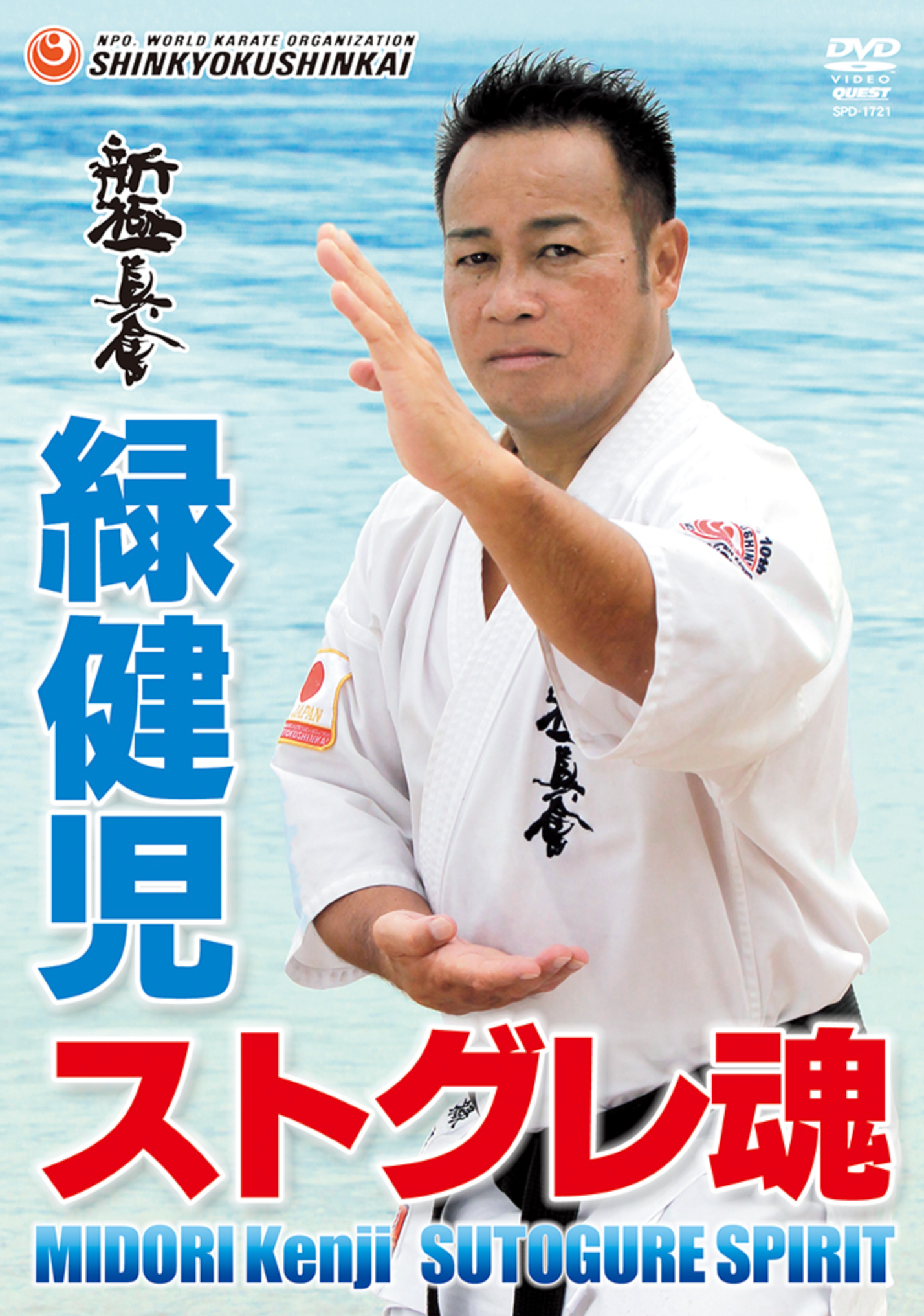 Kyokushin Karate Sutogure Spirit DVD with Kenji Midori - Budovideos Inc