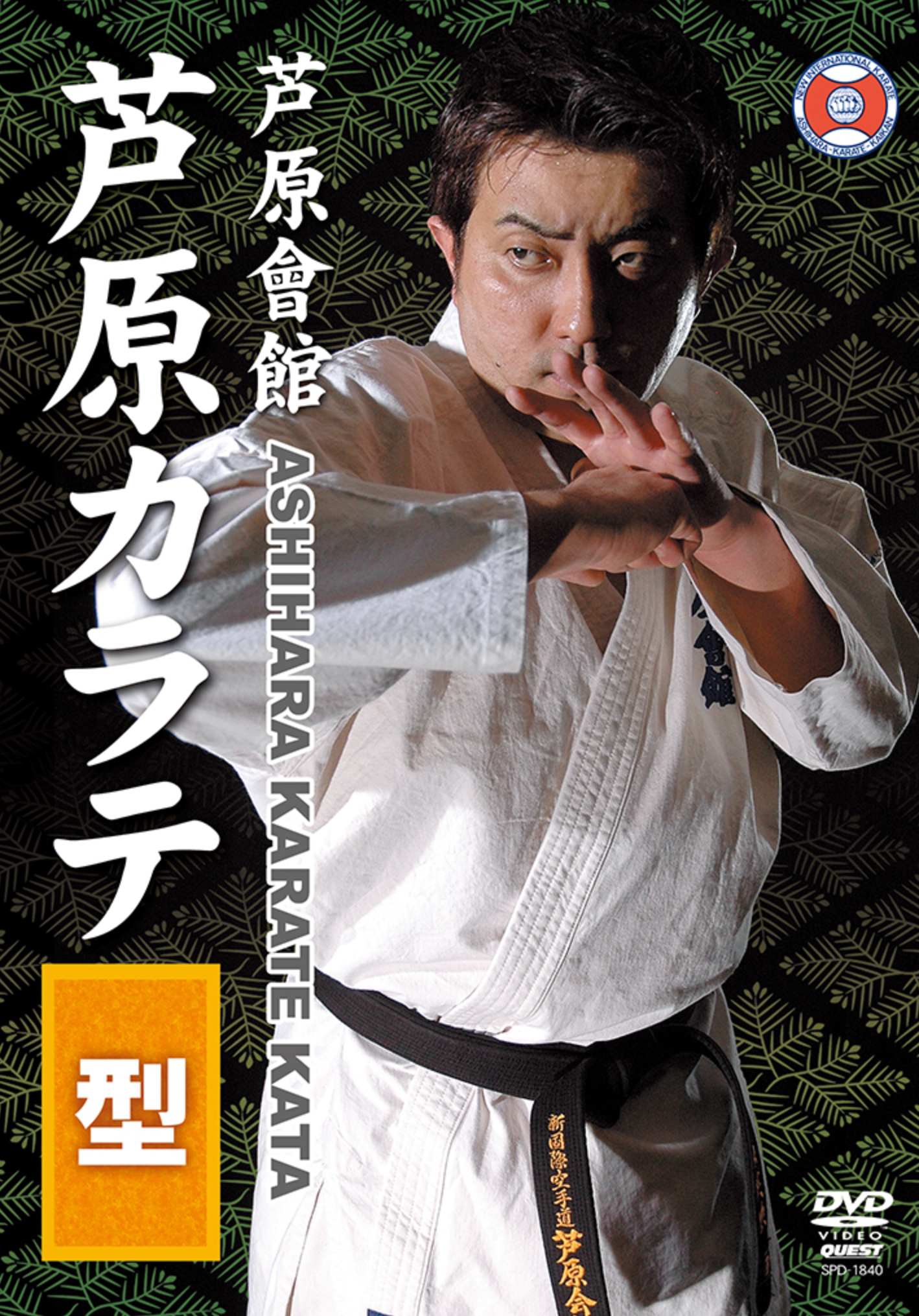 Ashihara Karate Kata DVD by Hidenori Ashihara - Budovideos Inc