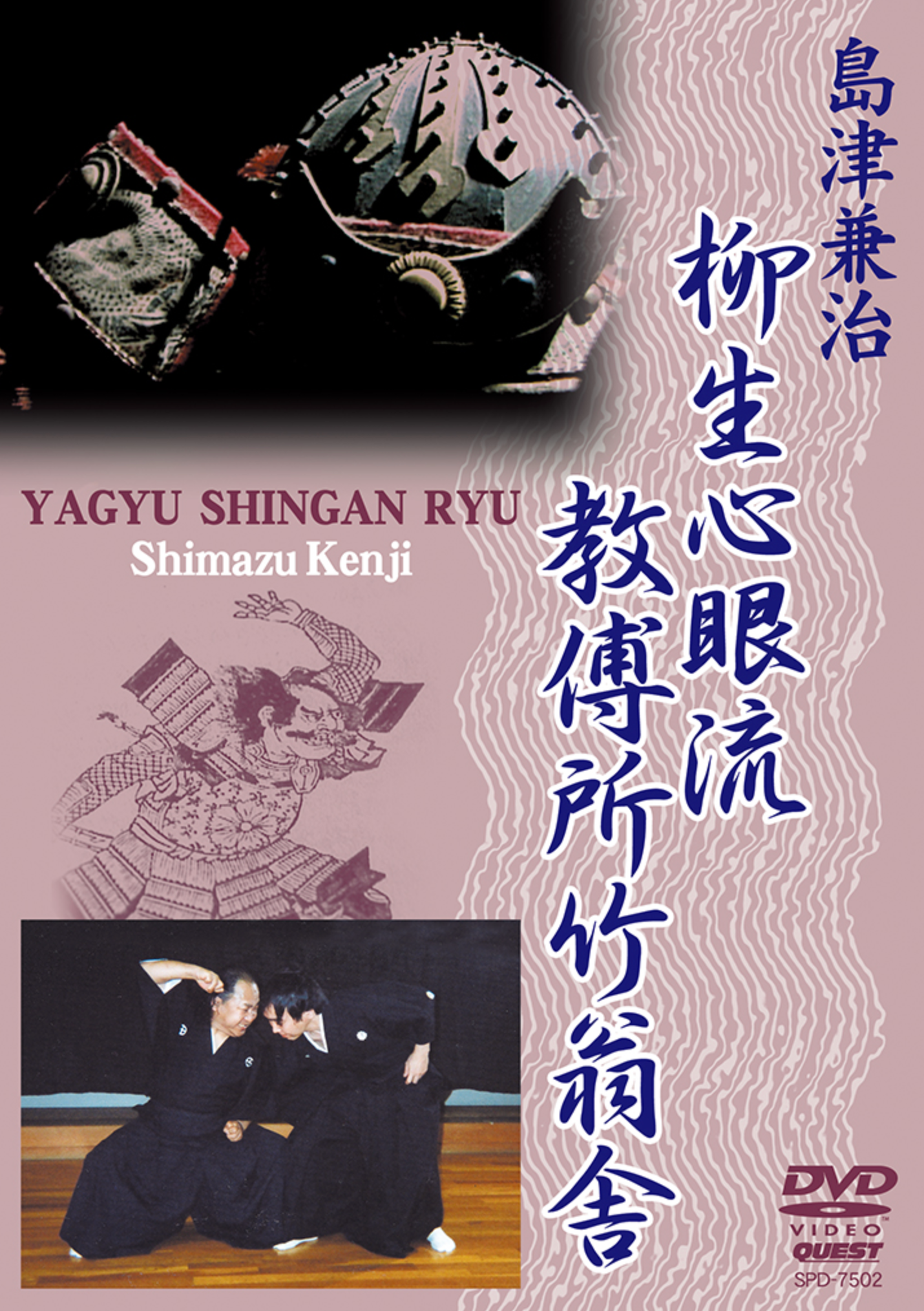 Yagyu Shingan Ryu DVD Vol 1 with Kenji Shimazu - Budovideos Inc