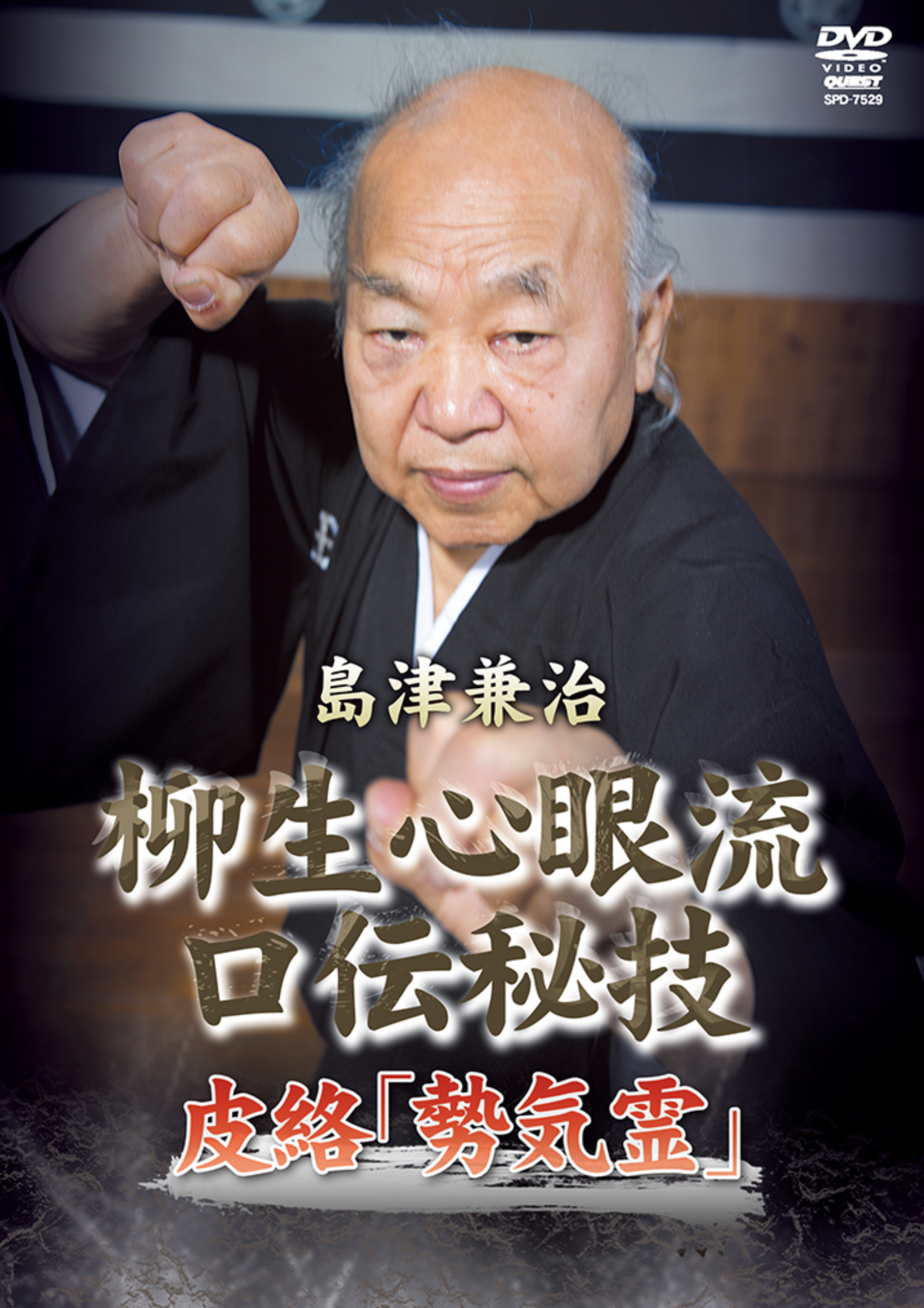Yagyu Shingan Ryu Kuden Higi Vol 2 DVD by Kenji Shimazu - Budovideos Inc