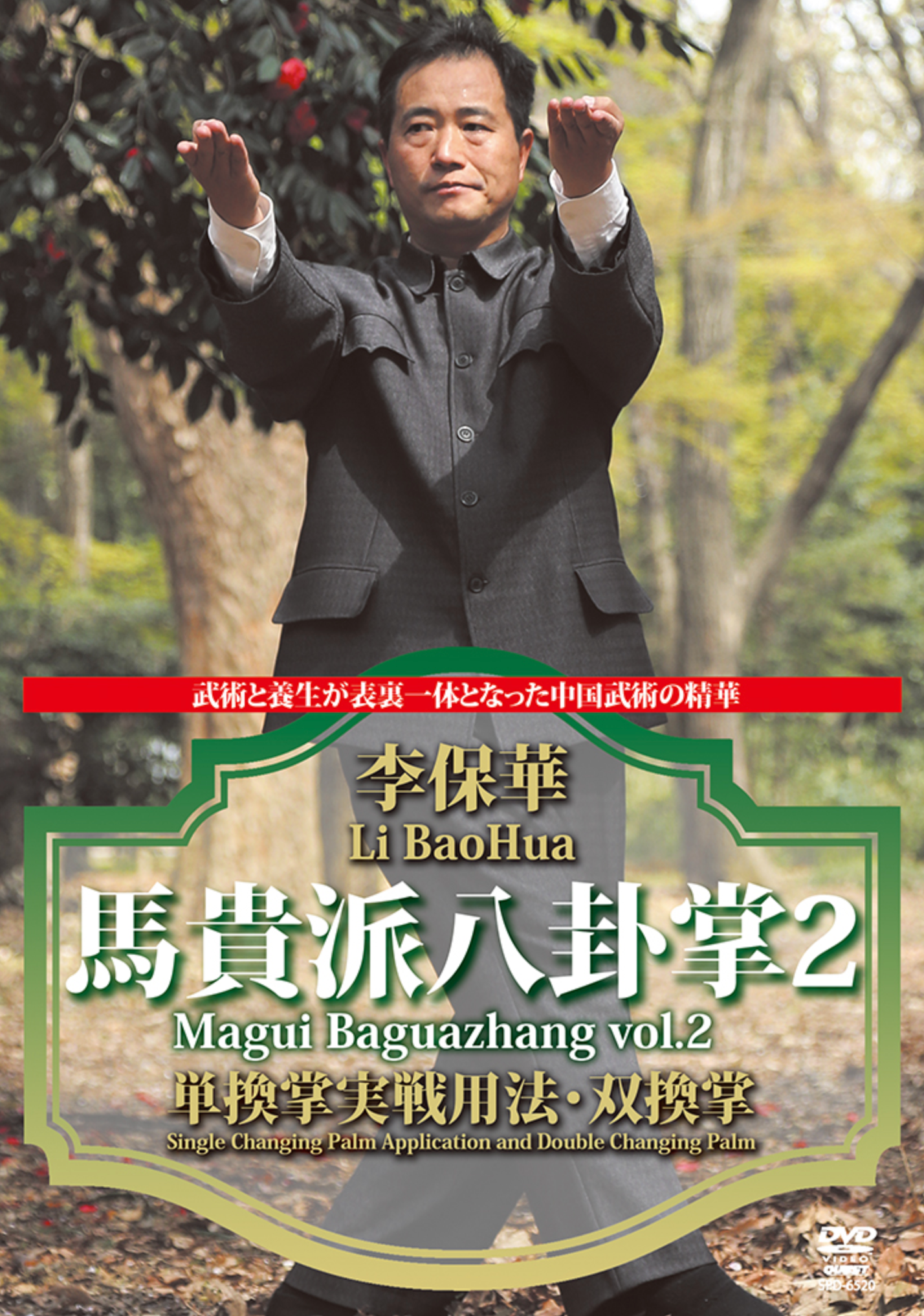 Magui Baguazhang Vol 2 DVD by Li BaoHua - Budovideos Inc