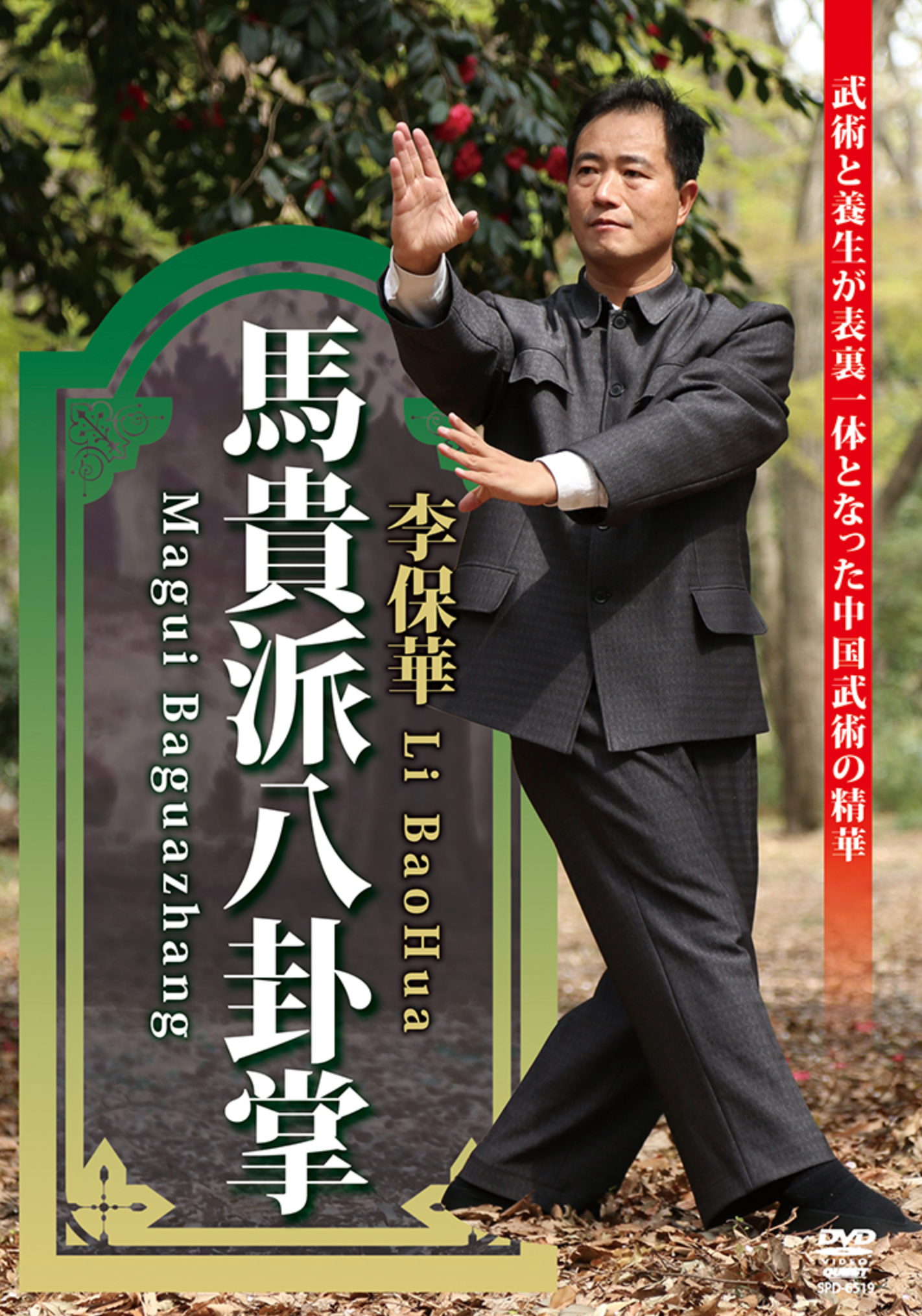 Magui Baguazhang Vol 1 DVD by Li BaoHua - Budovideos Inc