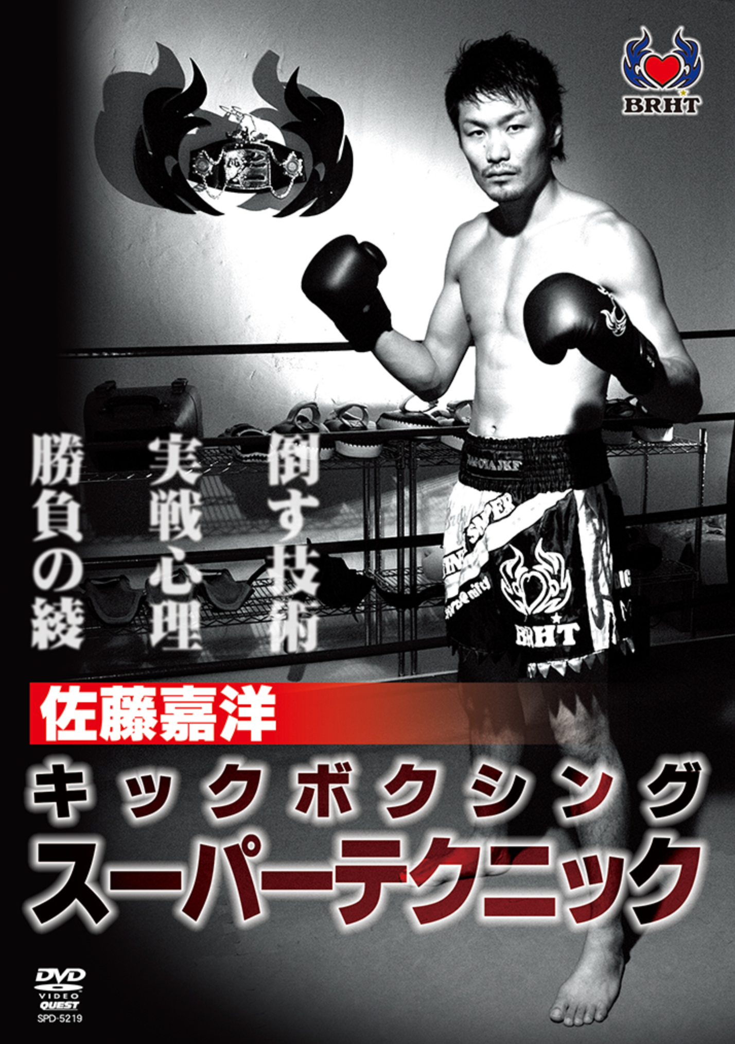 Super Kickboxing Techniques DVD with Yoshihiro Sato - Budovideos Inc