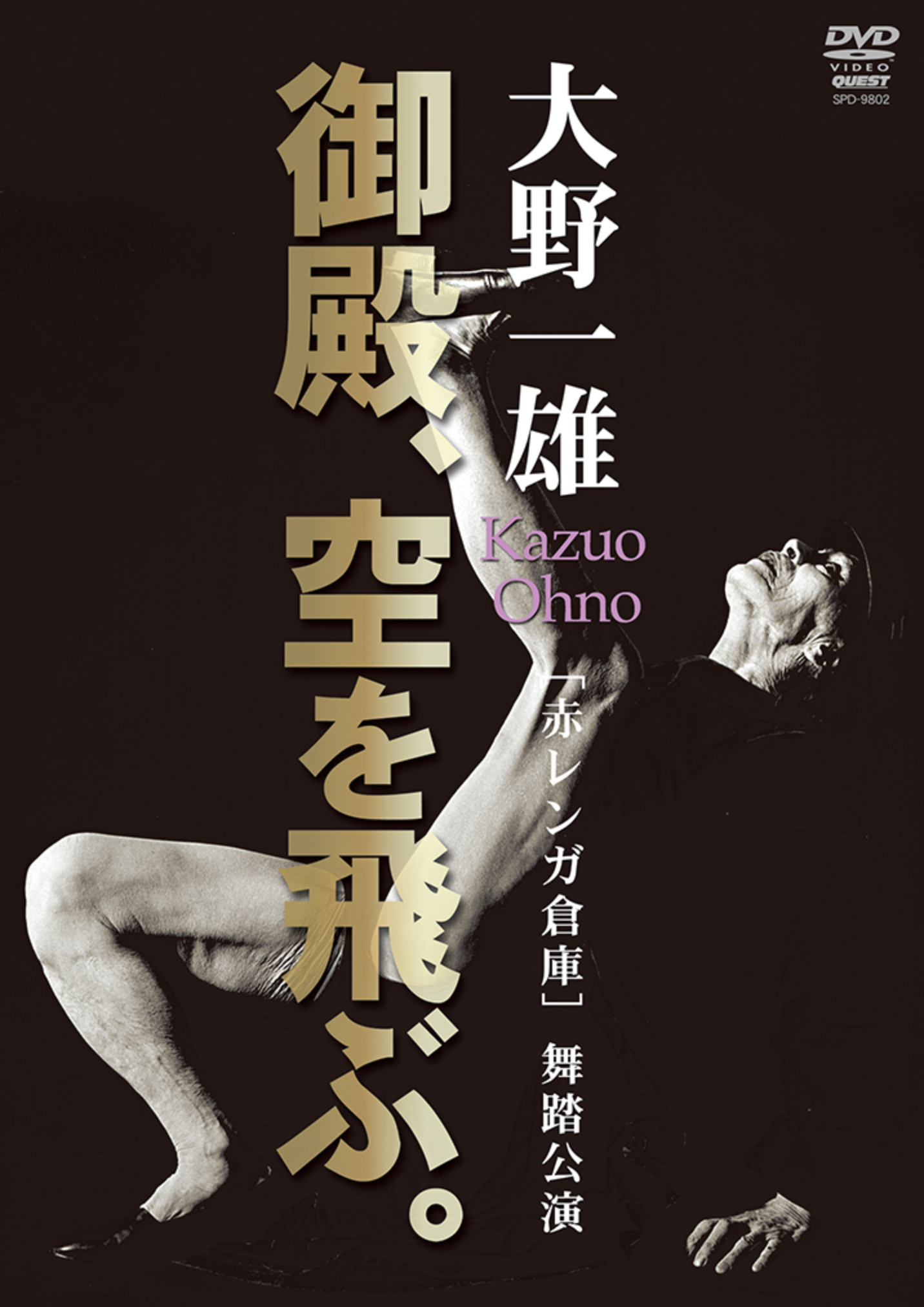 Butoh Dancer Kazuo Ohno DVD - Budovideos Inc
