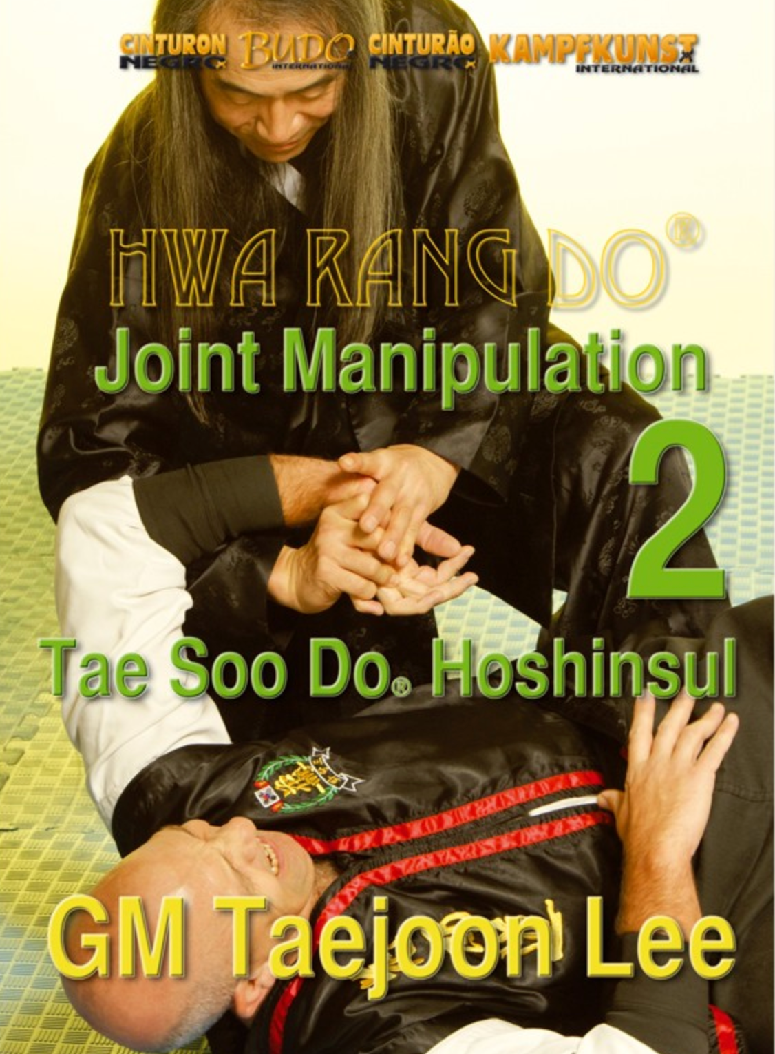 Hwa Rang Do Hoshinsul Vol 2 Joint Manipulation DVD by Taejoon Lee - Budovideos Inc