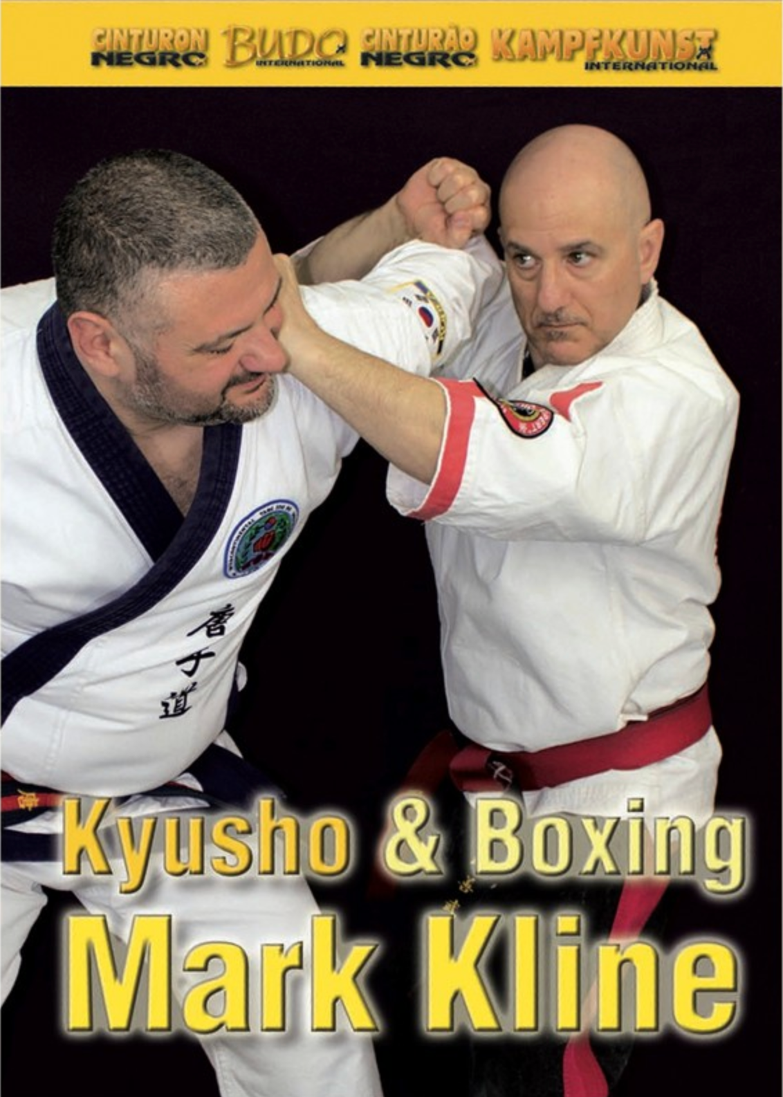 Kyusho & Boxing DVD with Mark Kline - Budovideos Inc