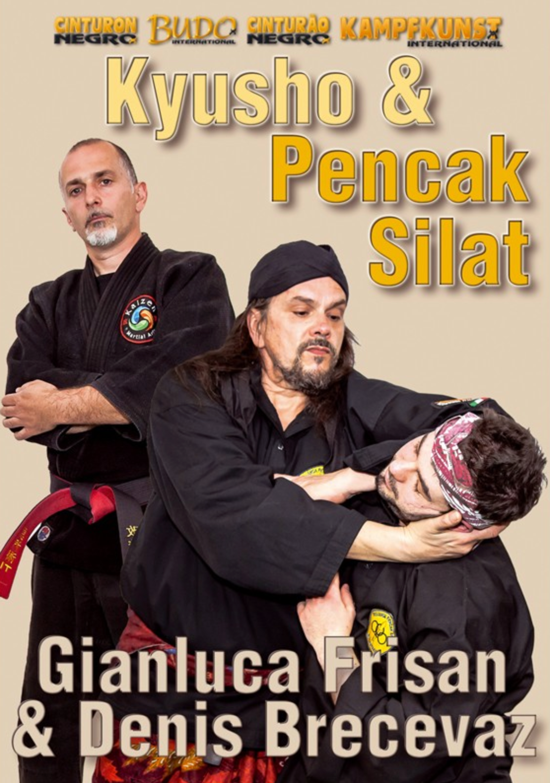 Kyusho & Pencak Silat DVD 3 by Gianluca Frisan & Denis Brecevaz - Budovideos Inc