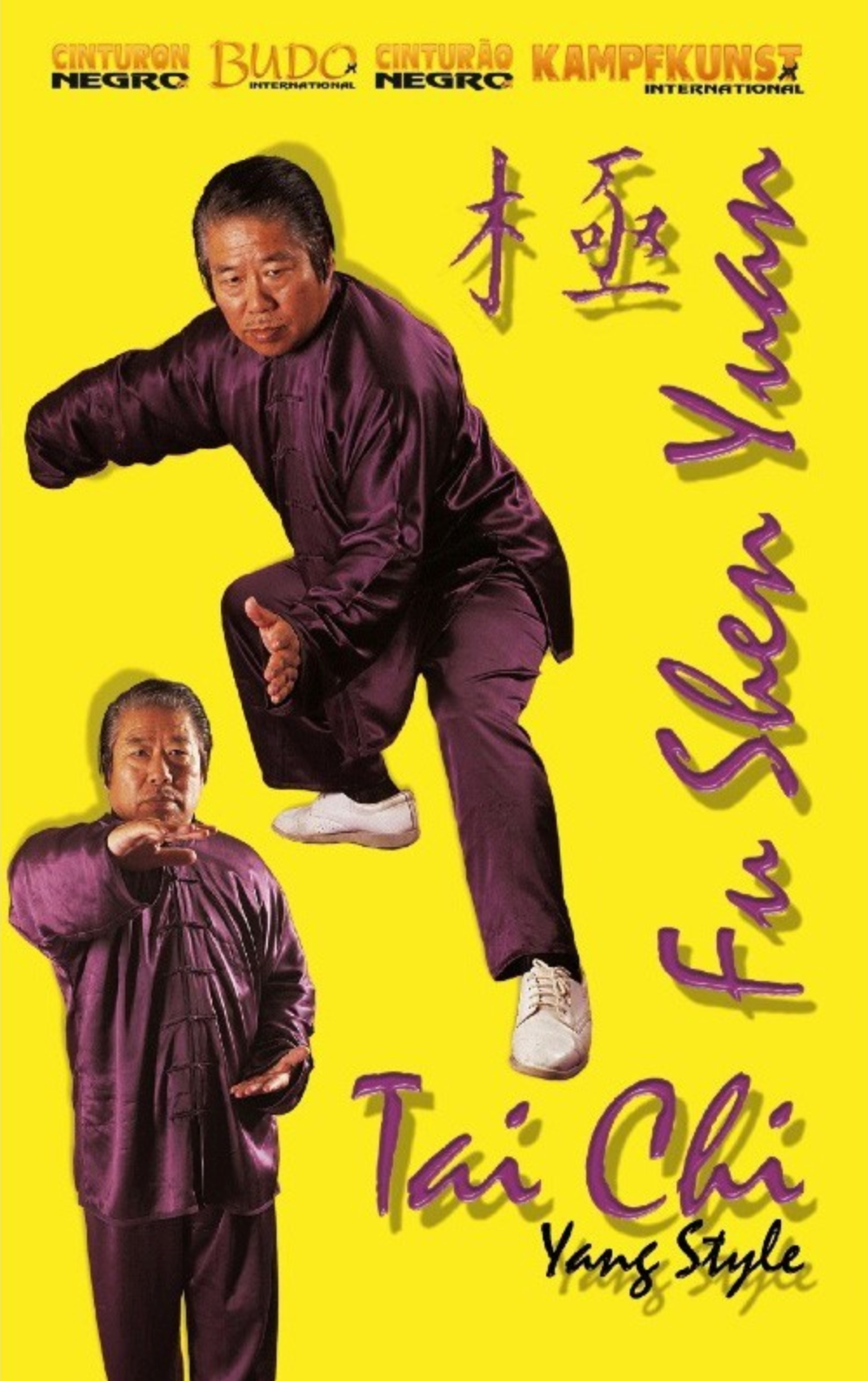 Tai Chi Yang Style DVD 2 by Fu Sheng Yuan - Budovideos Inc