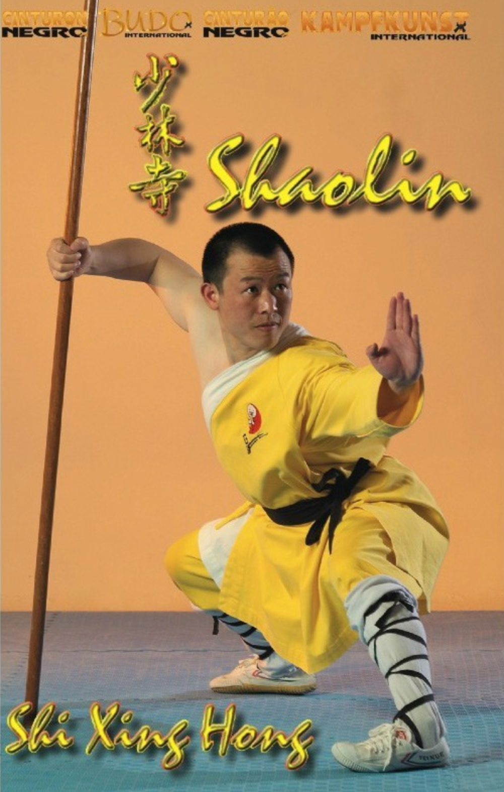 The 18 movements of Shaolin Kung Fu DVD with Shi Xing Hong - Budovideos Inc