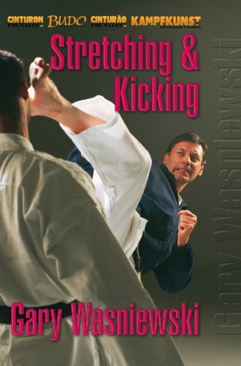 TY-GA Karate Stretching & Kicking DVD with Gary Wasniewsky - Budovideos Inc