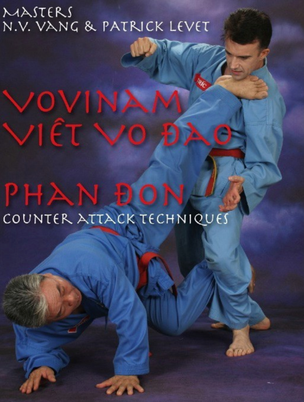 Viet Vo Dao Phan Don Counter Techniques DVD with Patrick Levet - Budovideos Inc