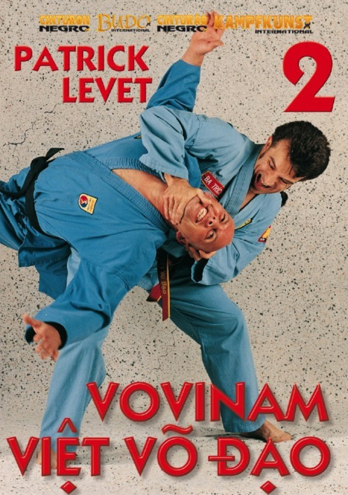 Vovinam Viet Vo Dao Vol 2 DVD with Patrick Levet - Budovideos Inc
