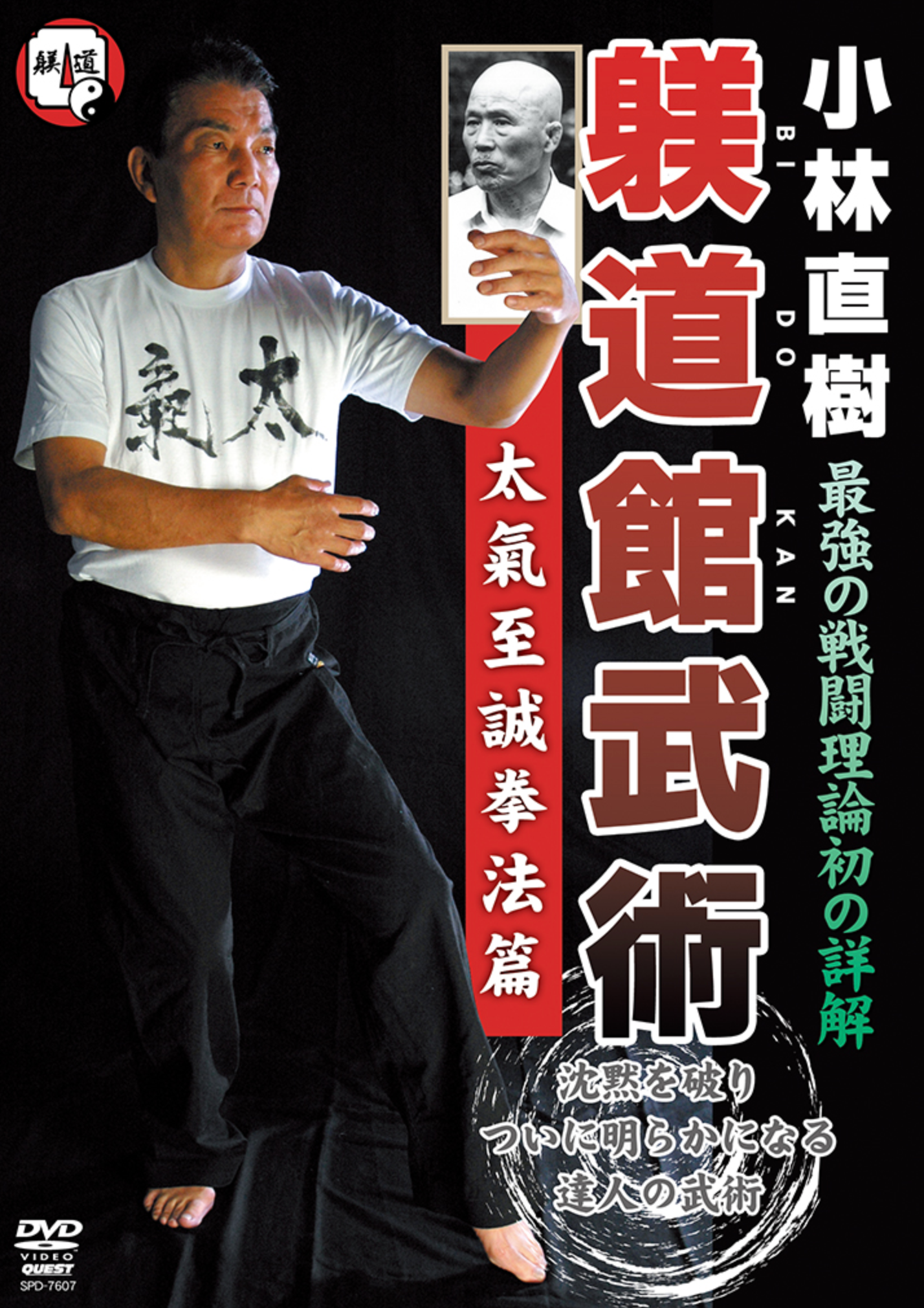 Bidokan Bujutsu DVD with Naoki Kobayashi - Budovideos Inc