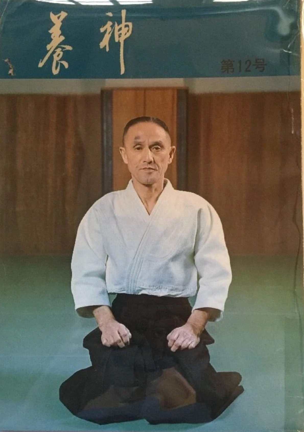 Yoshin Magazine #12 (Yoshinkan Aikido) (Preowned) - Budovideos Inc