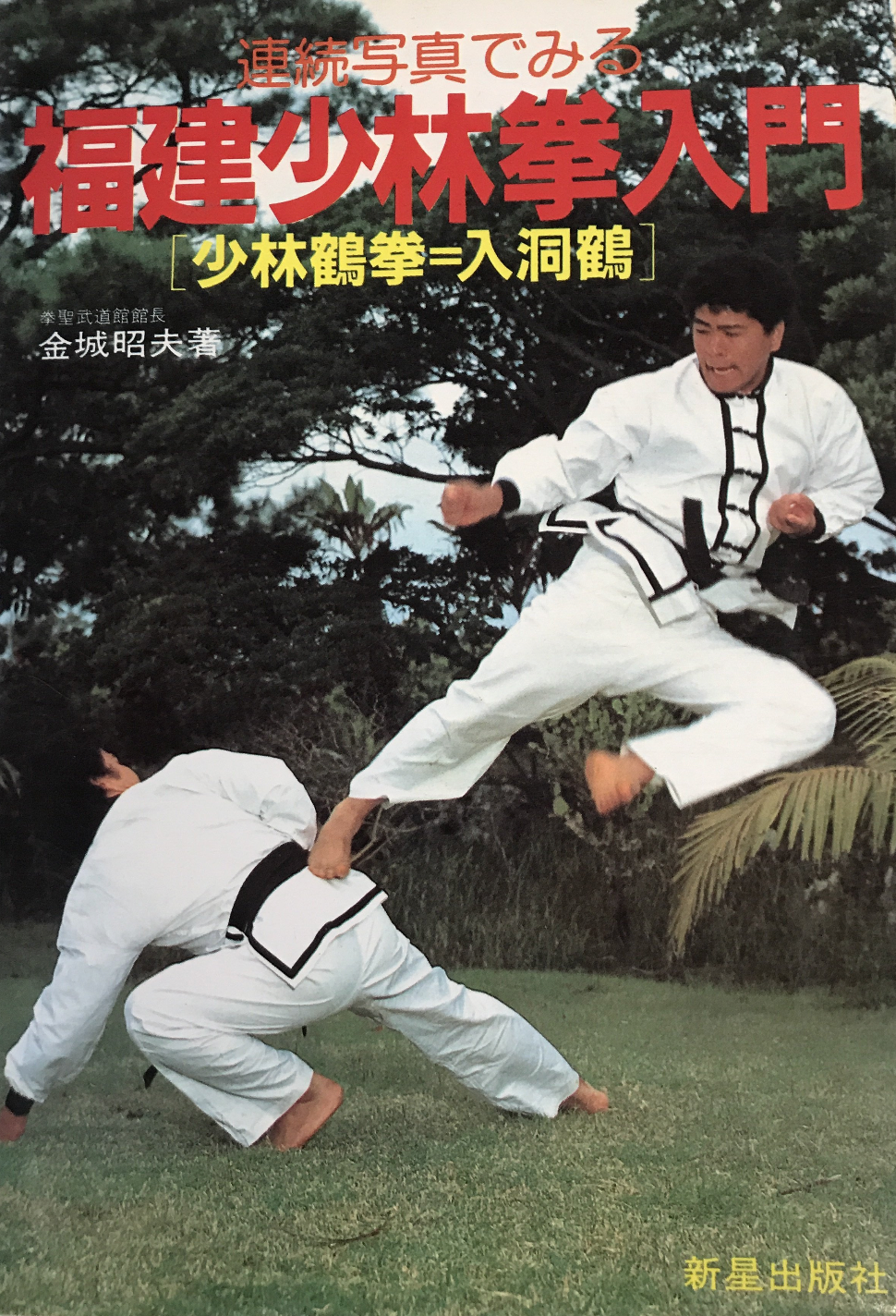 Intro to Fukken Shorin Ken Chinese Martial Arts Book (Preowned) - Budovideos Inc