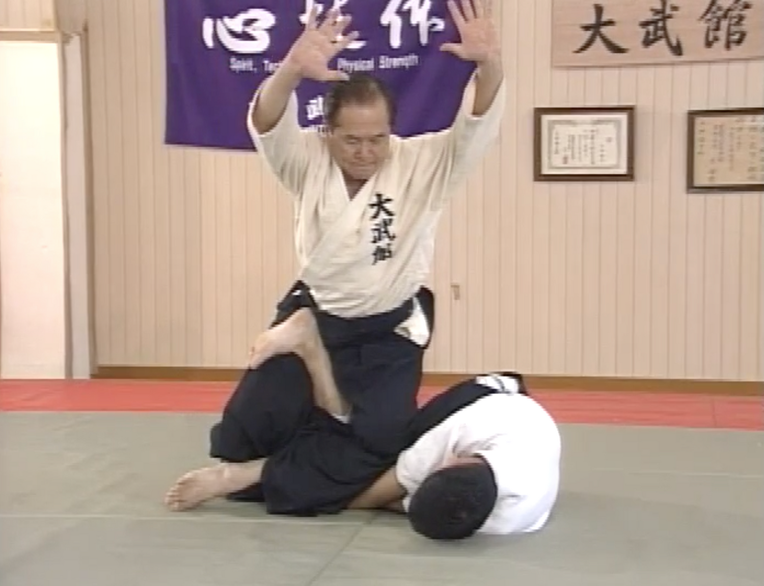 Daito Ryu Aikibudo DVD by Kenkichi Ohgami - Budovideos Inc