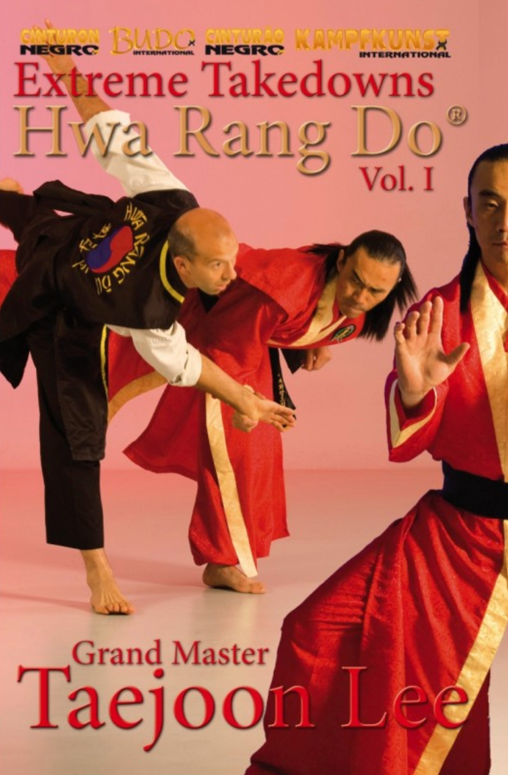 Hwa Rang Do Extreme Takedowns Vol 1 DVD by Taejoon Lee - Budovideos