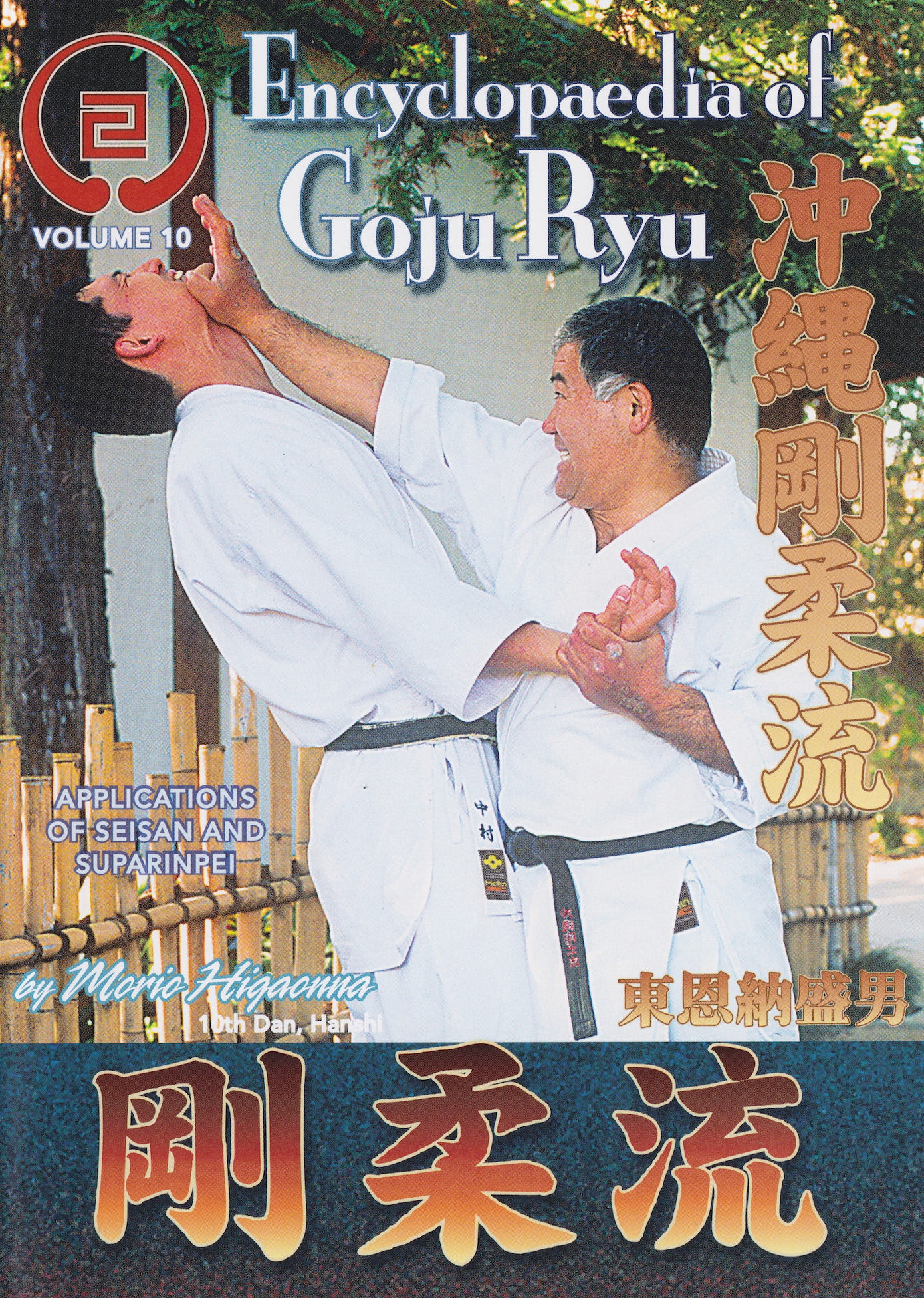 Encyclopedia of Goju Ryu Part 10 DVD with Morio Higaonna - Budovideos Inc