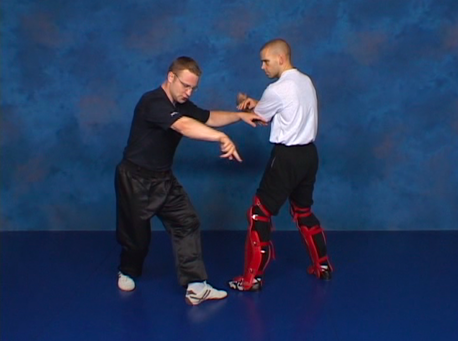 Combat Sanshou: The Punishing Chinese Fighting Art 6 DVD Set by Wim Demeere (Preowned) - Budovideos