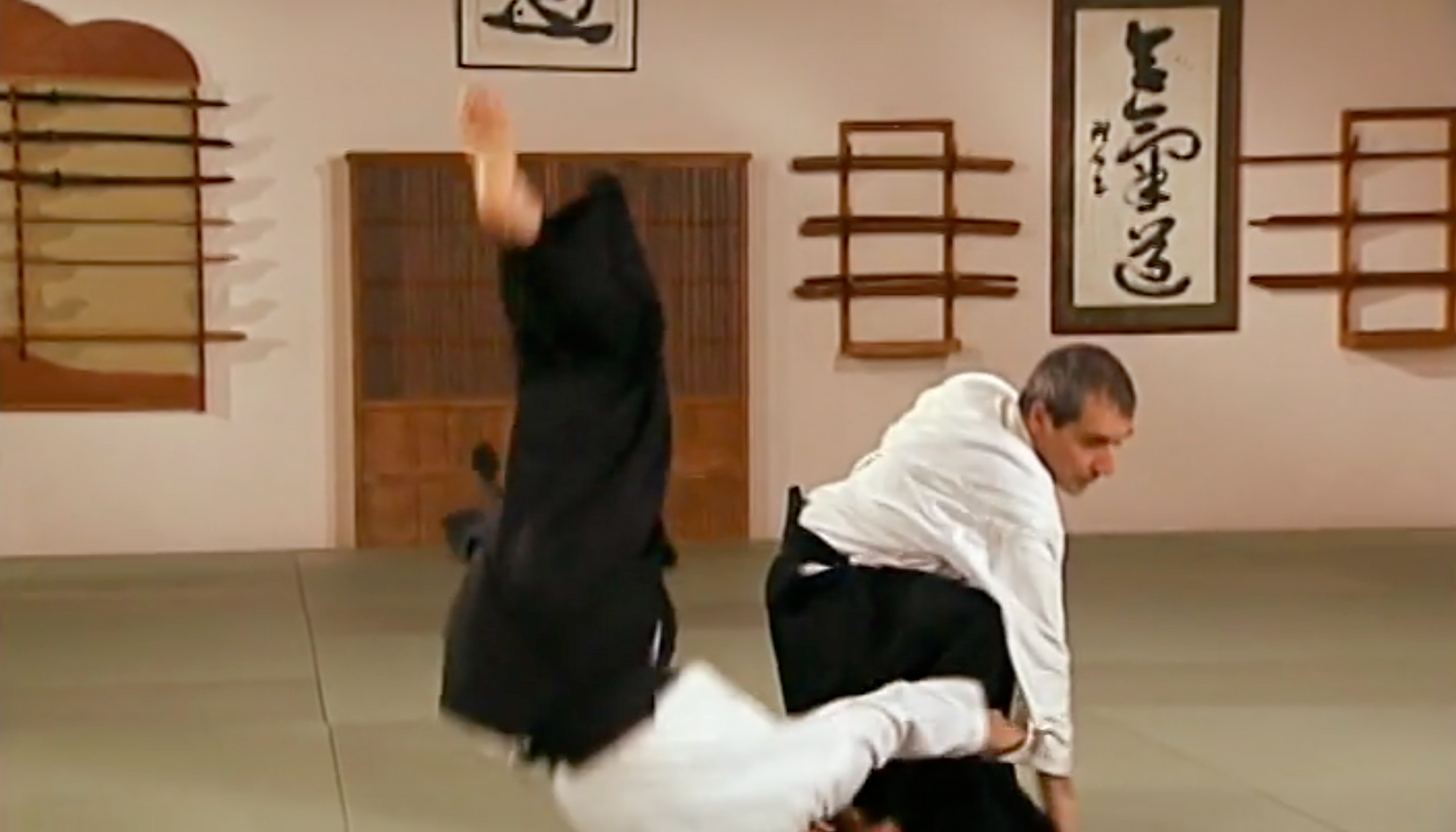 Aikido in Three Easy Lessons DVD by Richard Moon (Preowned) - Budovideos