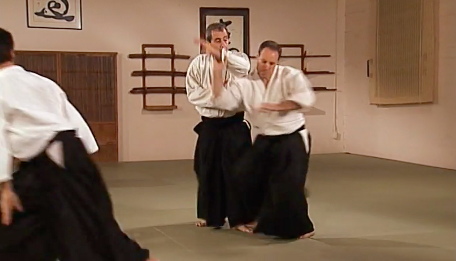Aikido in Three Easy Lessons DVD by Richard Moon (Preowned) - Budovideos