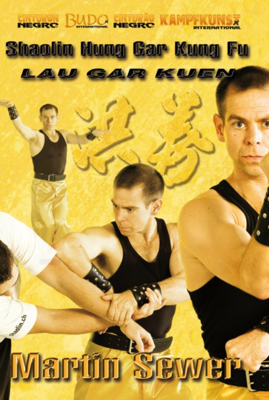 Hung Gar Kung Fu Lau Gar Kuen Form DVD by Martin Sewer - Budovideos Inc