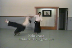 Taigi Arts of Ki 2 VHS Set by Koichi Kashiwaya (Preowned) - Budovideos Inc