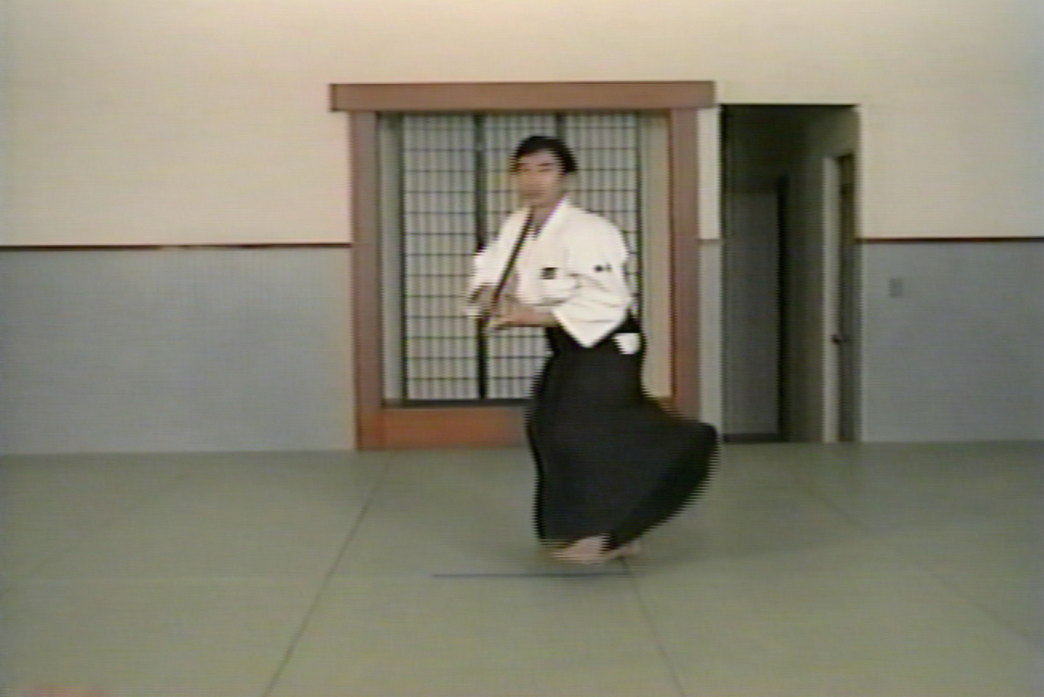 Taigi Arts of Ki 2 VHS Set by Koichi Kashiwaya (Preowned) - Budovideos Inc