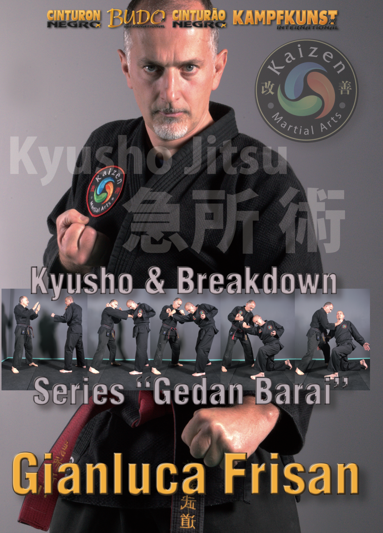 Kyusho Breakdown DVD by Gianluca Frisan - Budovideos Inc