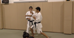 Machida Karate 2019 Super Seminar 3 DVD Set - Budovideos Inc