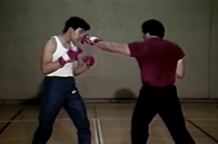 Explosive Knockout Hands Combinations DVD by Leo Fong - Budovideos Inc