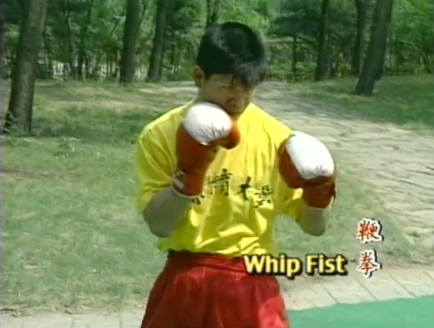 Kung Fu Fighting Sanshou 2 DVD Set - Budovideos Inc