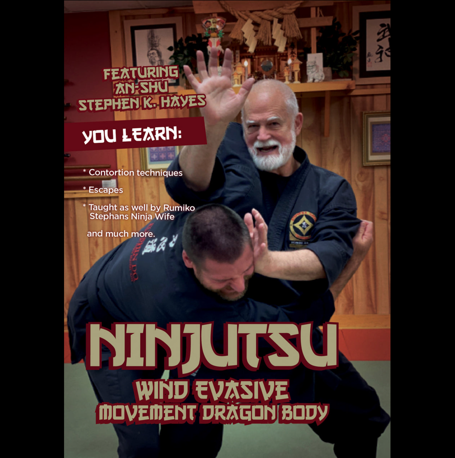 Ninjutsu Secrets 8: Cuerpo de dragón con movimiento evasivo del viento con Stephen Hayes (bajo demanda)