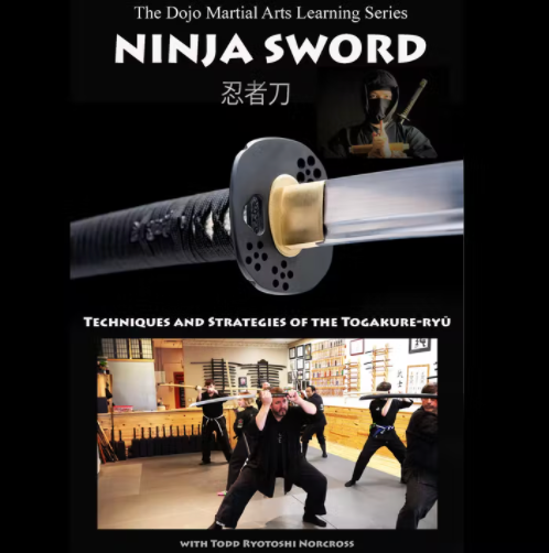 Ninja Sword by Todd Norcross (On Demand)