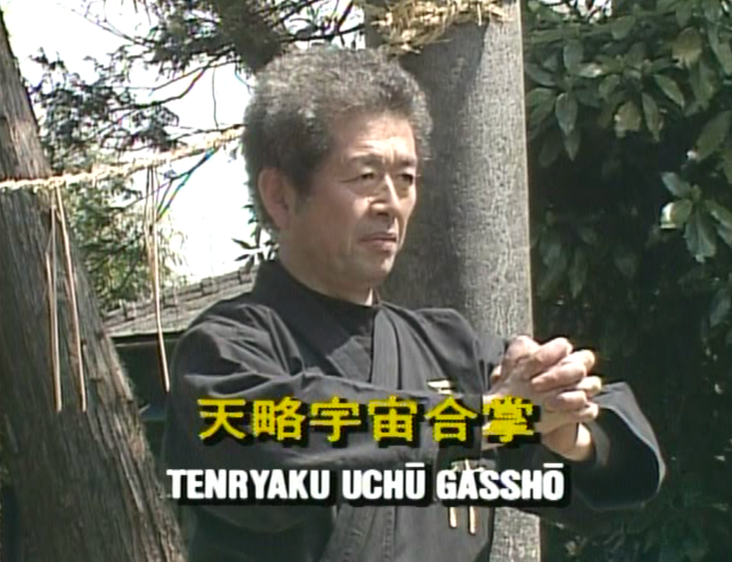 DVD Fundamentos de Togakure Ryu de Masaaki Hatsumi