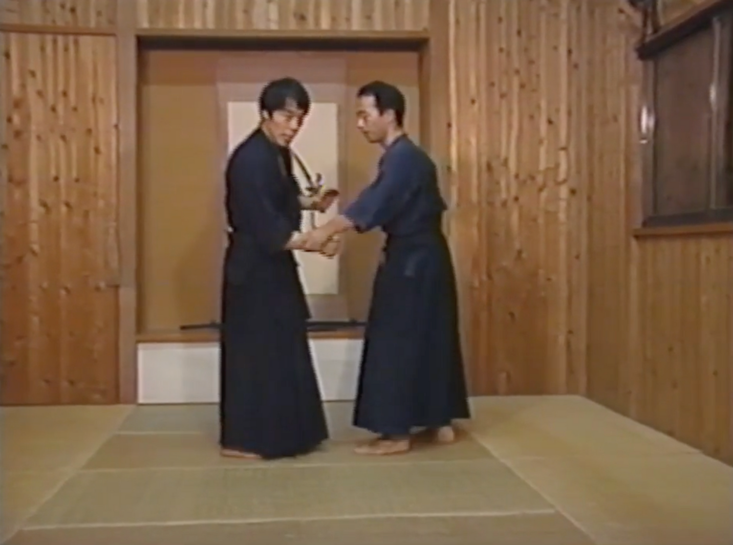 Yoshinori Kono Roots of Bujutsu 7 VHS Set (seminuevo)