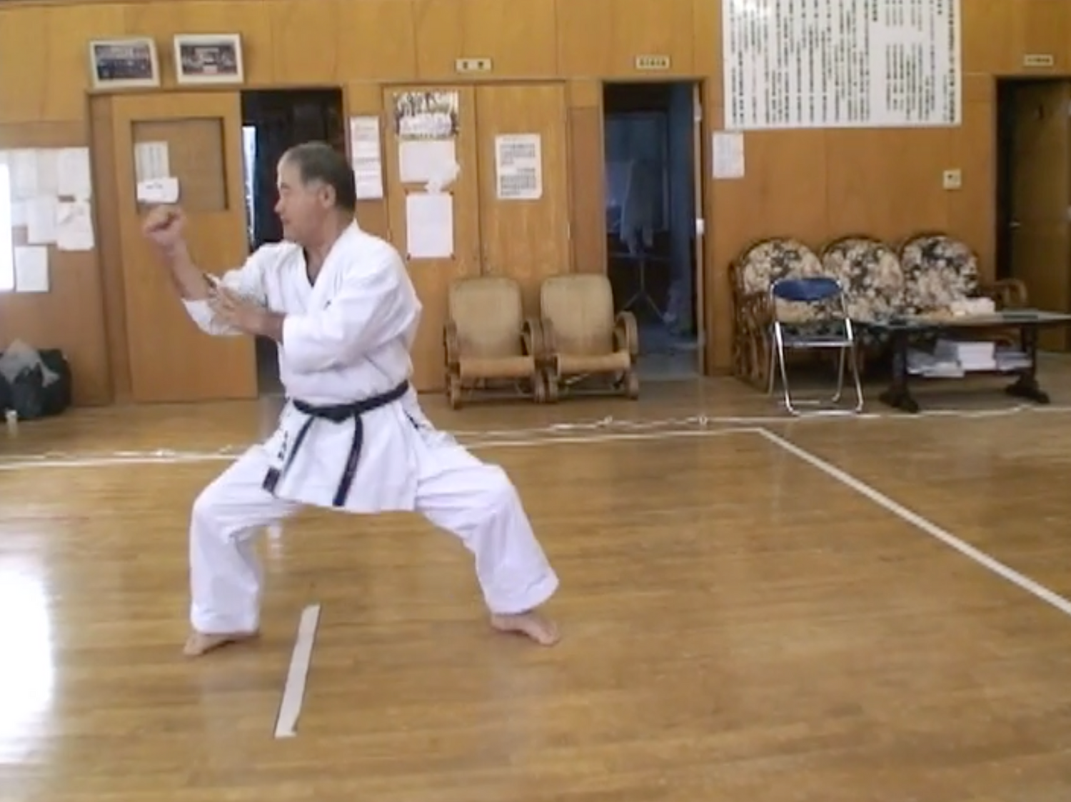 La verdad sobre el libro y DVD del Karate de Okinawa (usado)
