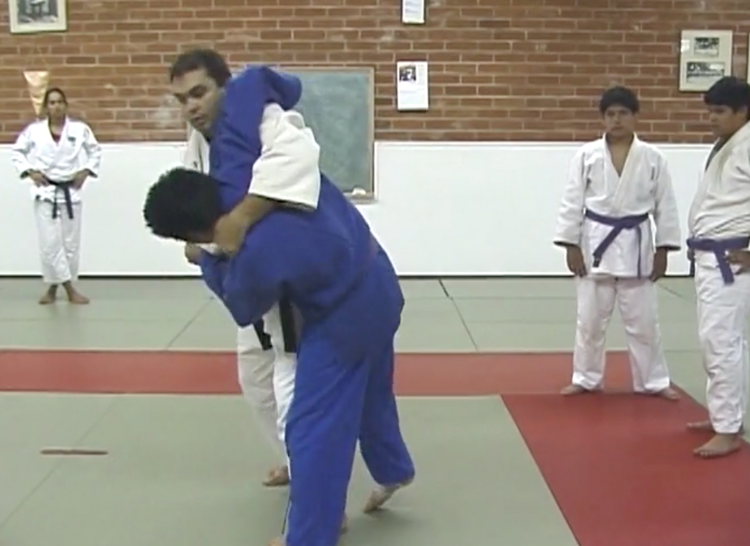 DVD de la Clínica de Judo Nanka del Camino Brasileño de Rodrigo Sampaio y Rosicleia Campos