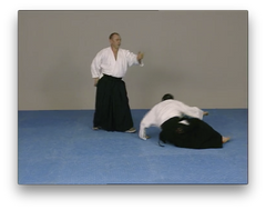 Aikido Kobayashi Ryu with Giampietro Savegnago (On Demand) - Budovideos Inc