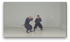Iga Ryu Ninjutsu Empty Hands Techniques by Juan Hombre (On Demand) - Budovideos Inc
